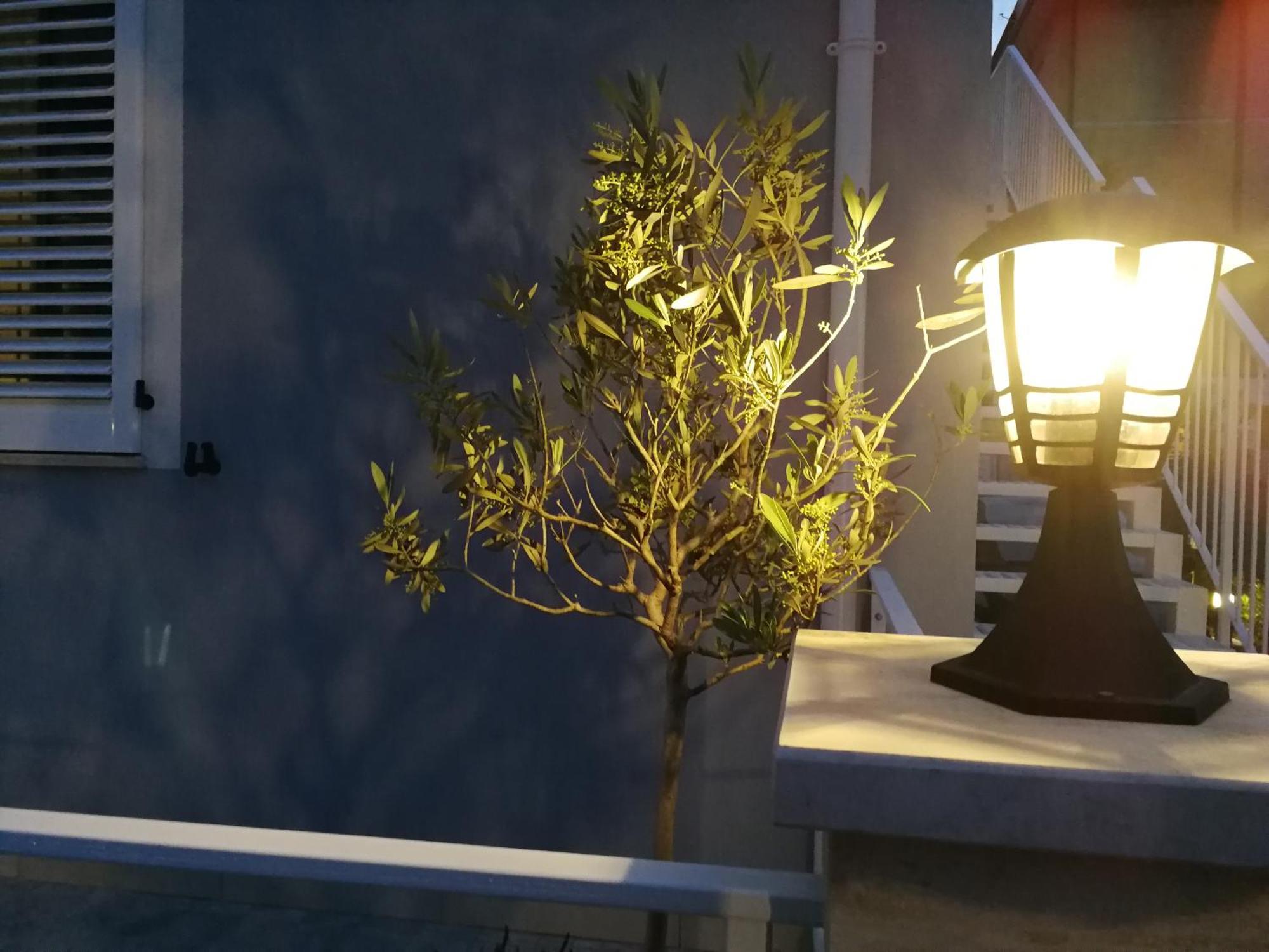 Alcivico3 Bed and Breakfast Civitanova Marche Exteriör bild